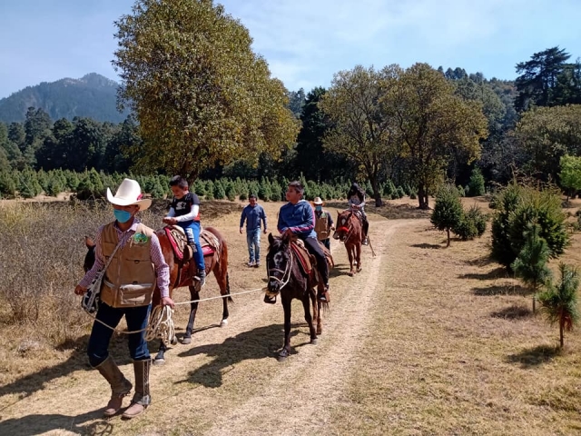Ruta guiada con caballos