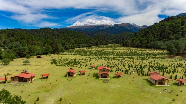 Paisaje hacia el bosque