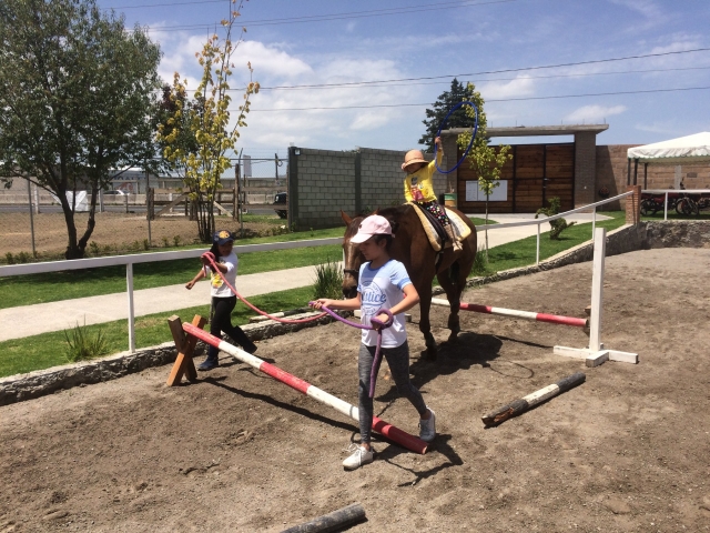 Clasererererereres de Equitacion en Tlaxcala, Mx