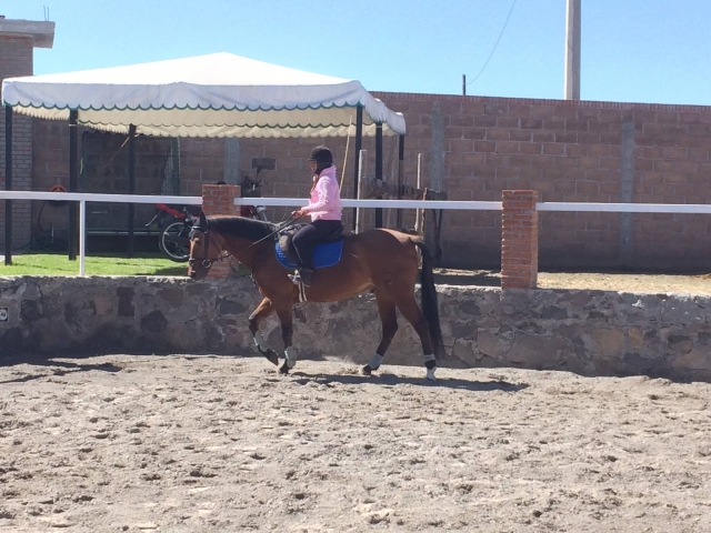 Ruta a caballo de prueba 