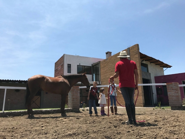 Clase teórica de equitación