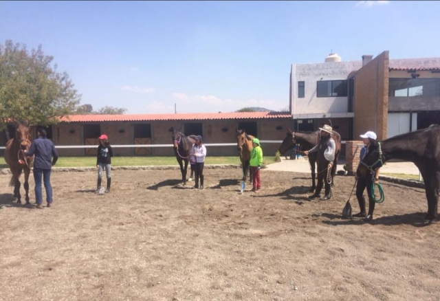 Clases de equitación a grupos