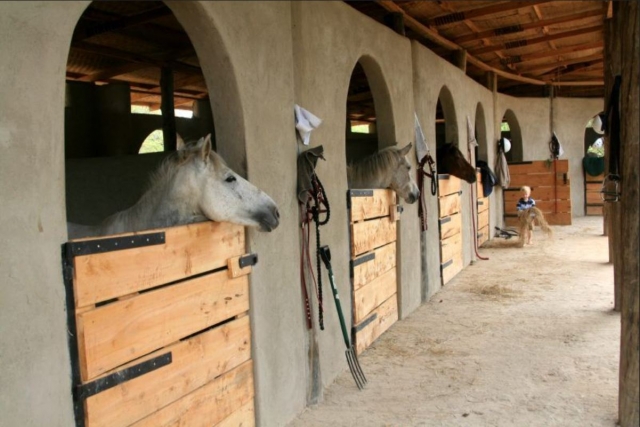 Club de equitación