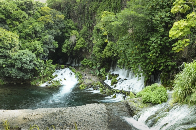 Conociendo las cascadas