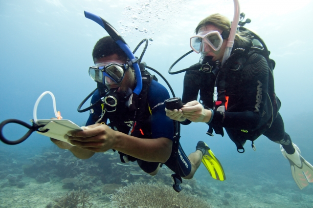 Advance Open Water Mazatlan