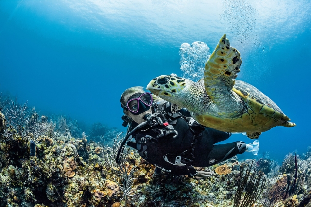 Bajo el mar te divertiras