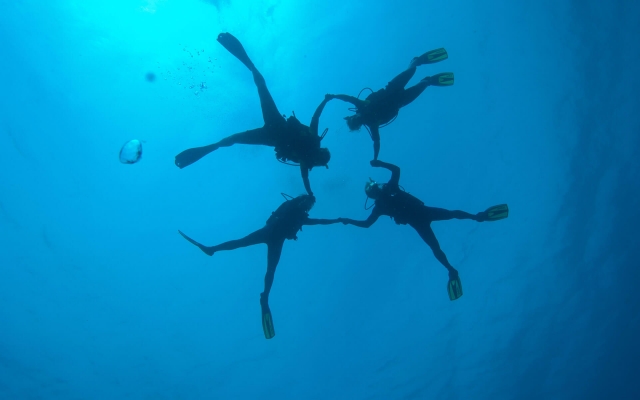 diving buceo mazatlan