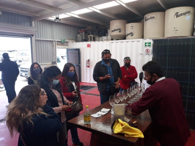 Prueba una gran variedad de vinos durante este recorrido