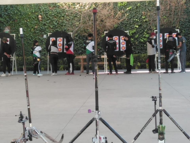Aprende con equipo profesional