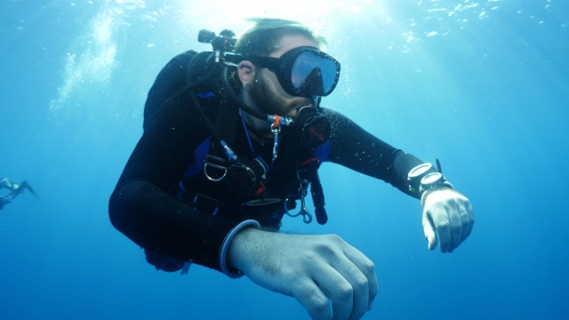 Explora y diviertete buceando en Mazatlán