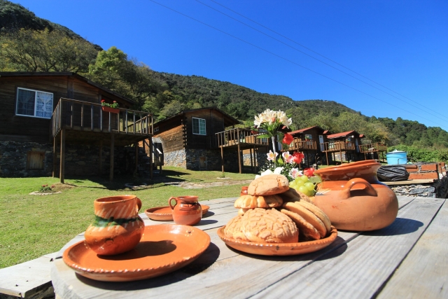 Desayuno en el bosque