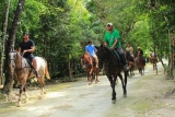 Paseo a caballo y aperitivo en Riviera Maya por 3h