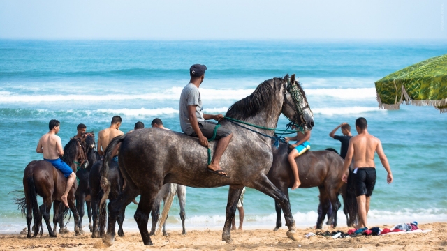 Playa en el caribe mexicano mientras vas en cabalgata