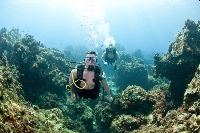 Sumergete en una aventura en Mazatlán