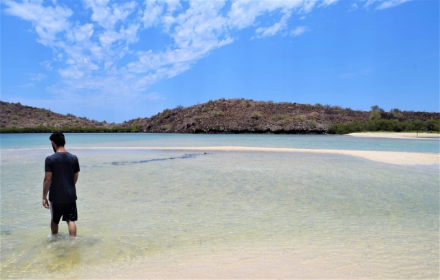 Recorre las tranquilas aguas de Mulegé 