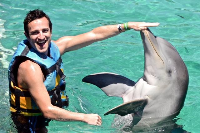 Experiencia de nado con delfines