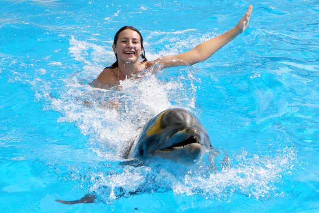 Nado y salto con delfines en Ixtapa