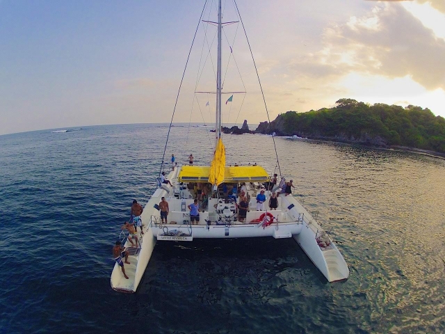 Avistamiento en catamaran