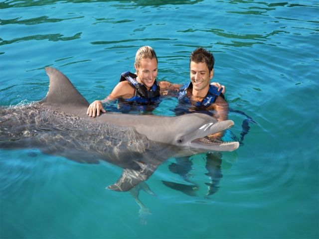 Nadando con delfines en Ixtapa Zihuatanejo