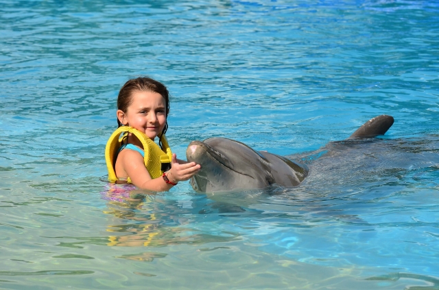 Niña nado con delfin