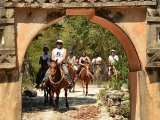 Paseo en caballo en Cozumel por 6 horas