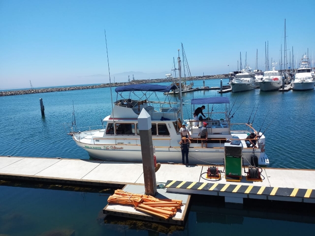 Un paseo en Yate a Ensenada te esta esperando