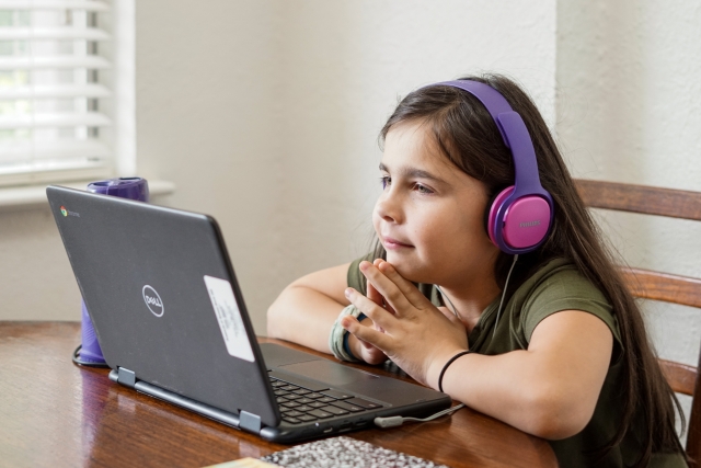 Forma de aprendizaje online