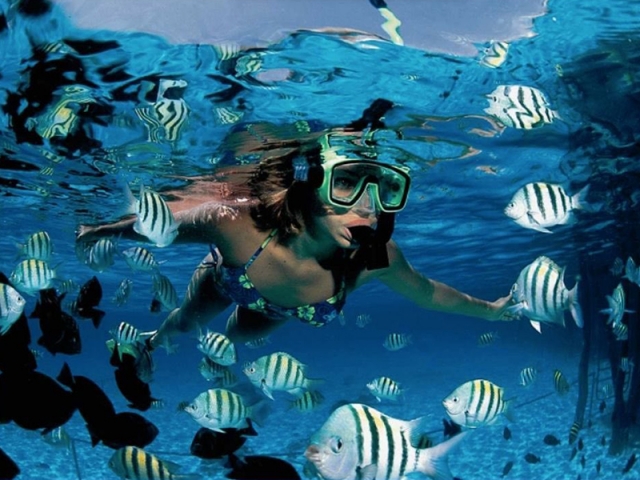 Snorkel en Catamarán en Moc-Che por 2 horas