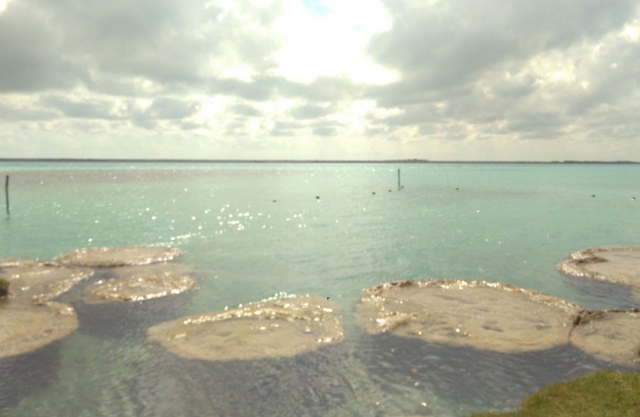 Disfruta de los paisajererererereres de bacalar