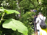 Senderismo a cascada y camping en Huauchinango 1 día