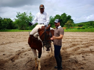 12 Clases de equitación en Mazatlán