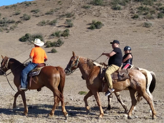 Aprendiendo de los mejoternera