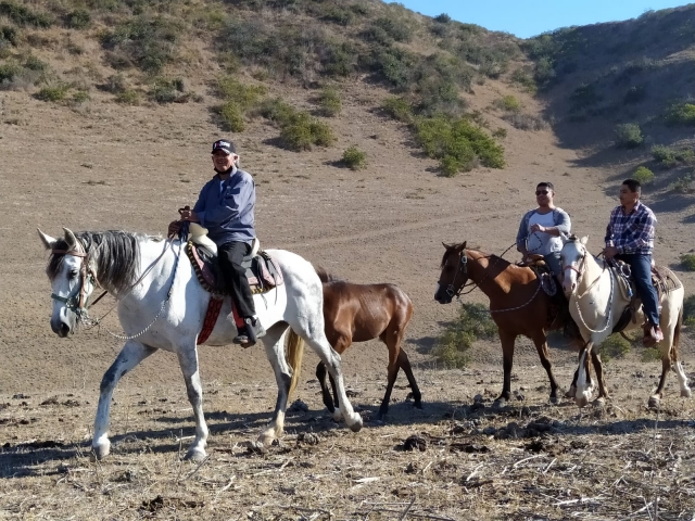 Ruta a caballo