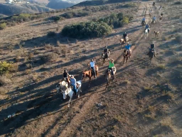 Rutas a caballo guiadas