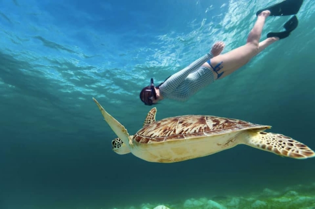 Snorkeling