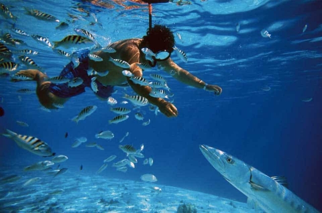 Snorkeleando entre peces