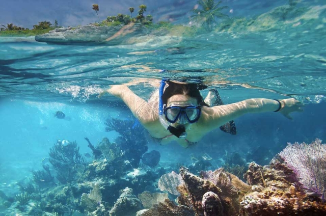 Explorando los corales