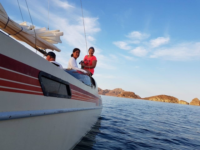 Visita guiada en barco