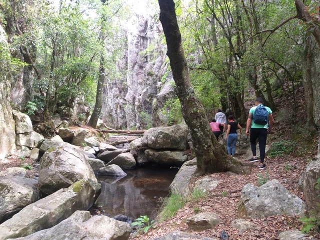 Recorridos entre el bosque