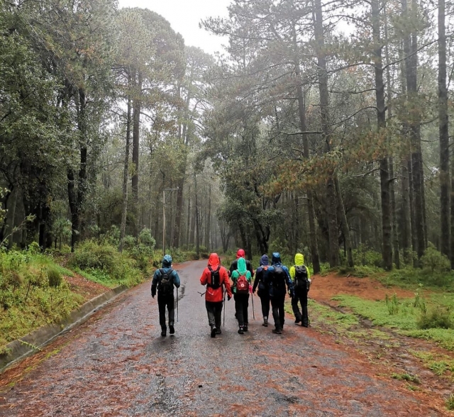 Caminando por la montaña