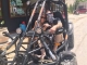 Buggies Tulum