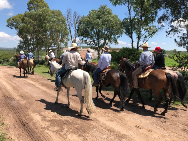 Paseo a caballo en grupo