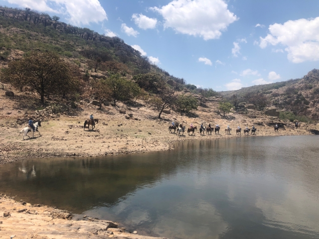 Pantano