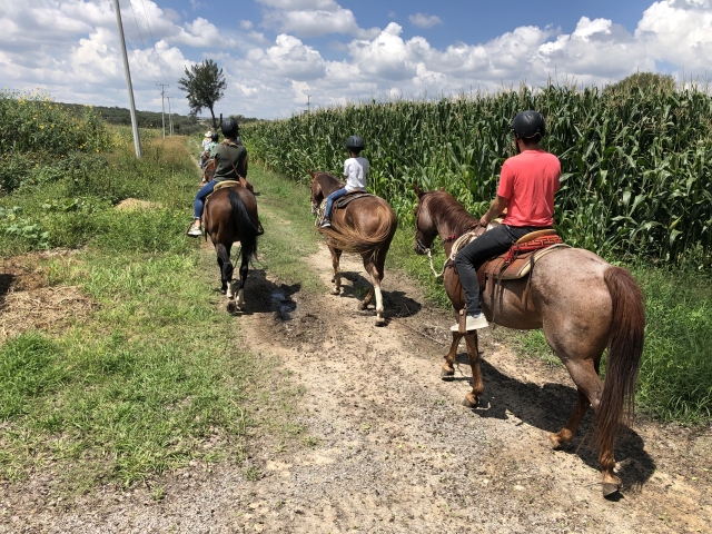 Recorremos por sembradíos de maiz y alfalfa