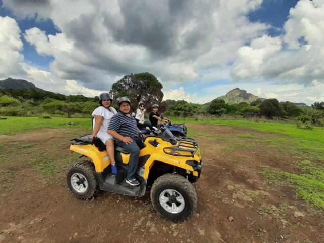 Recorrido guiado al bosque
