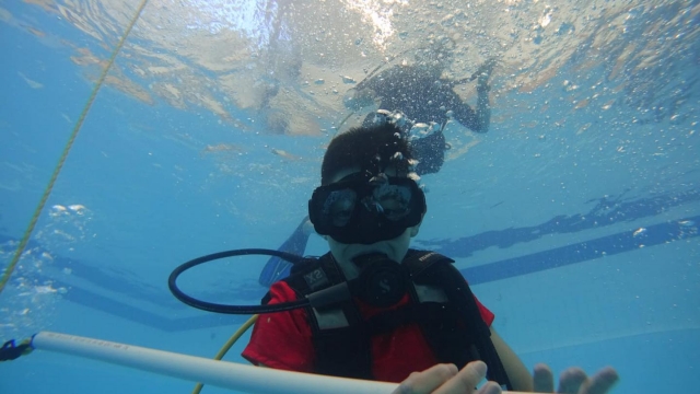 Curso Discover scuba