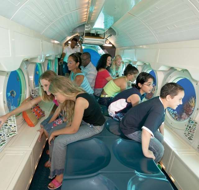 Emocionados viendo la vida marina