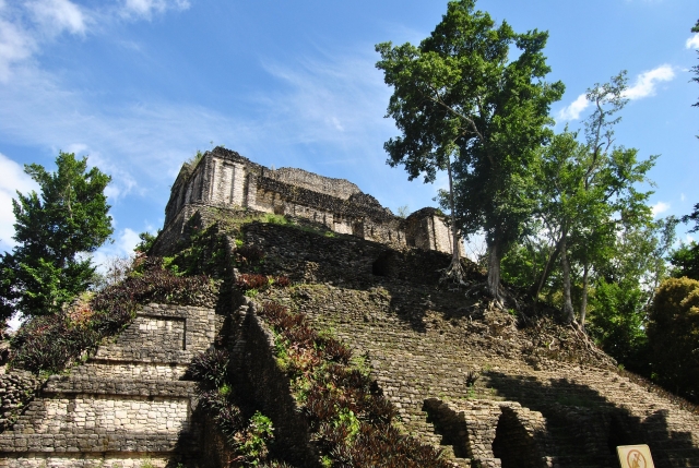 Conoce la zona arqueológica