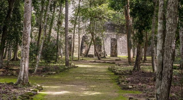 Camino al templo