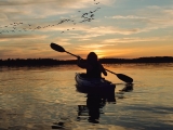 Paseo al atardecer a Santuario de Aves en Progreso